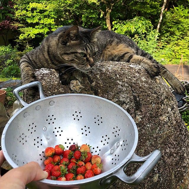 weさんの実例写真