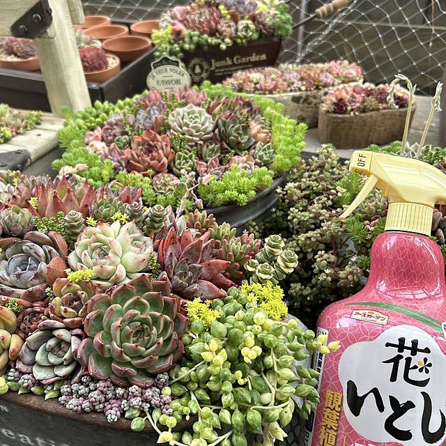 shhさんの部屋