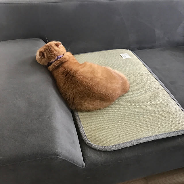 hm_myhomeさんの実例写真