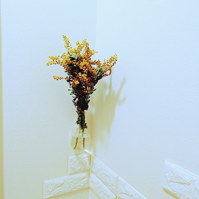 Shion+さんの部屋