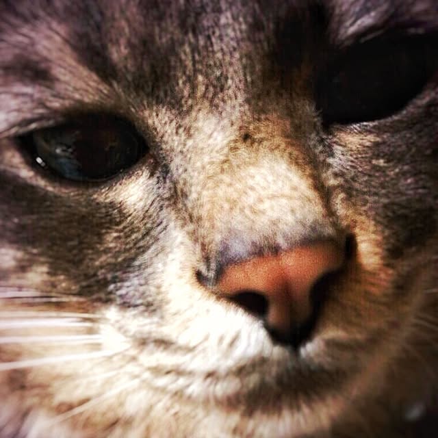 manaさんの実例写真