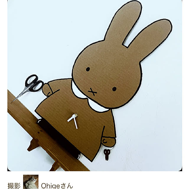 Ohigeさんの実例写真