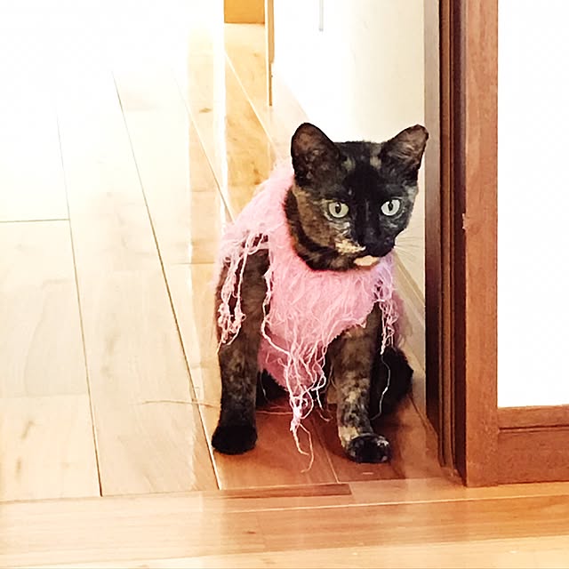 noraさんの実例写真