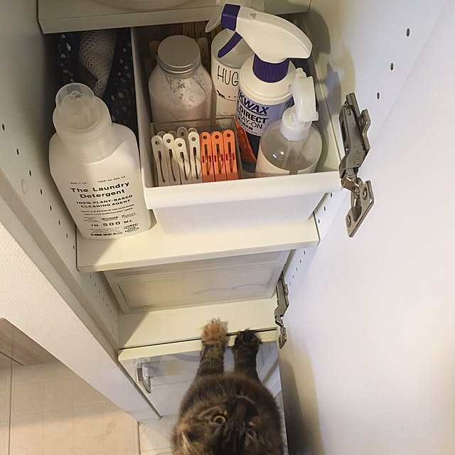 mikomaruさんの実例写真