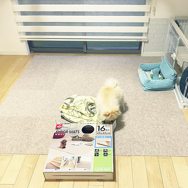 chi201さんの実例写真