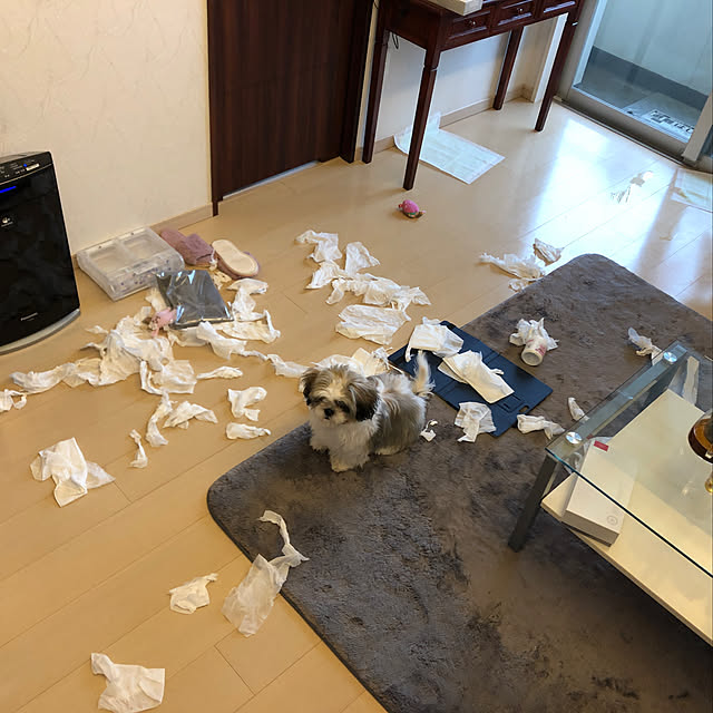 Yuukiさんの実例写真