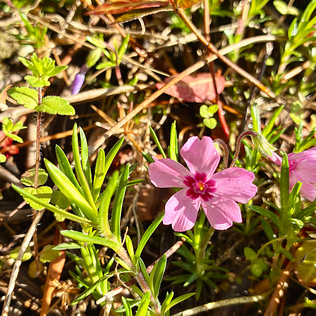 ayayayayaさんの部屋