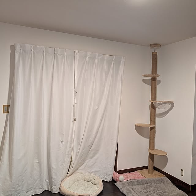 kira.ai.kaiさんの実例写真
