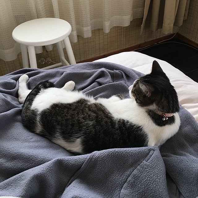 Shihoさんの実例写真