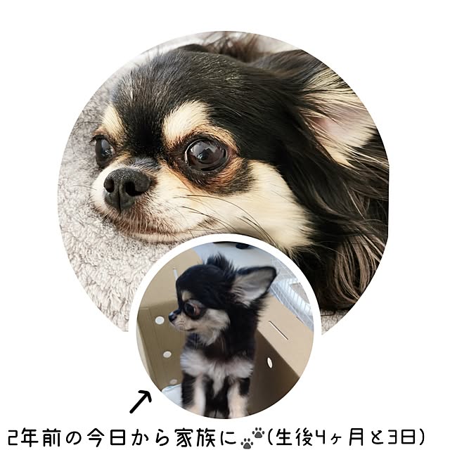 yumegu8さんの部屋