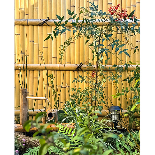 fawnさんの実例写真