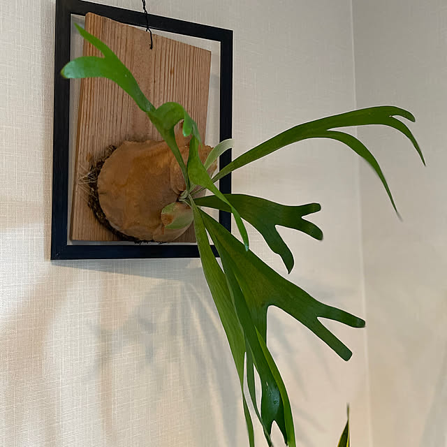rinrinさんの部屋