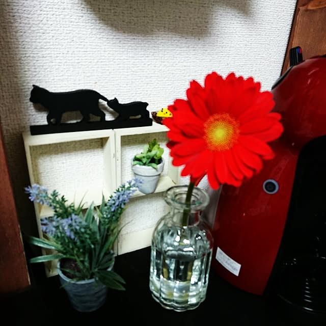 Tomoko.mさんの実例写真