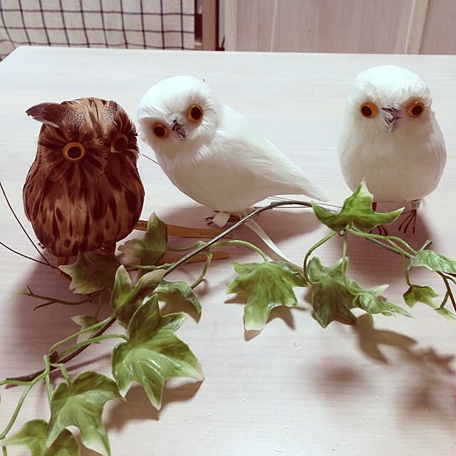 rieさんの実例写真