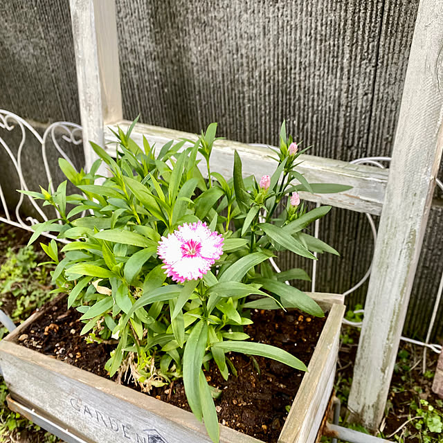 YuuKoさんの部屋