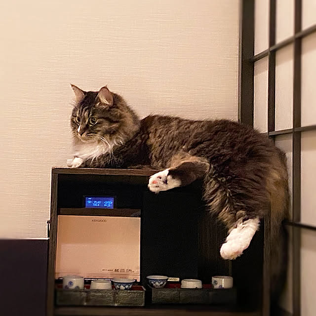 Hisashiさんの実例写真