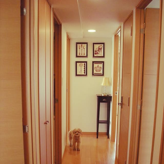 namoさんの実例写真