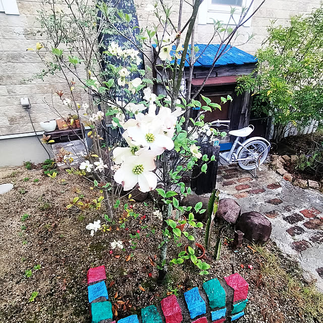 costajiniさんの実例写真