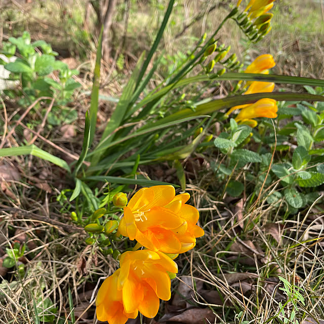 natsumiさんの部屋