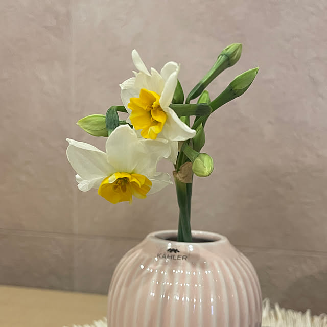 kuikoさんの部屋
