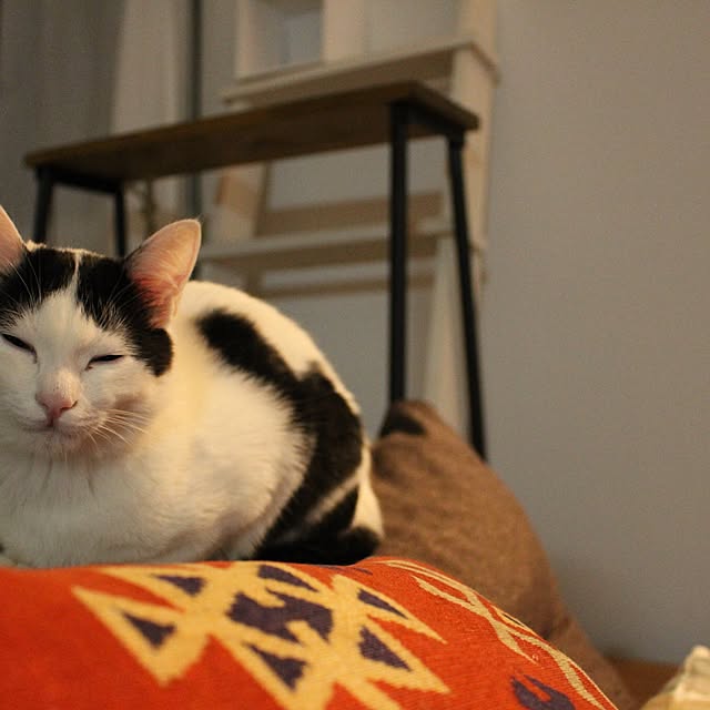 ktnさんの実例写真