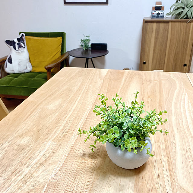 フェイクグリーン/コーヒー大好き/カフェ風/快適な生活/カフェ気分...などのインテリア実例 - 2021-07-17 21:18:12