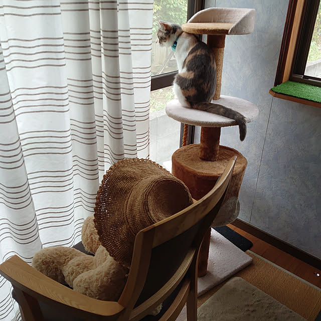 fukuさんの実例写真