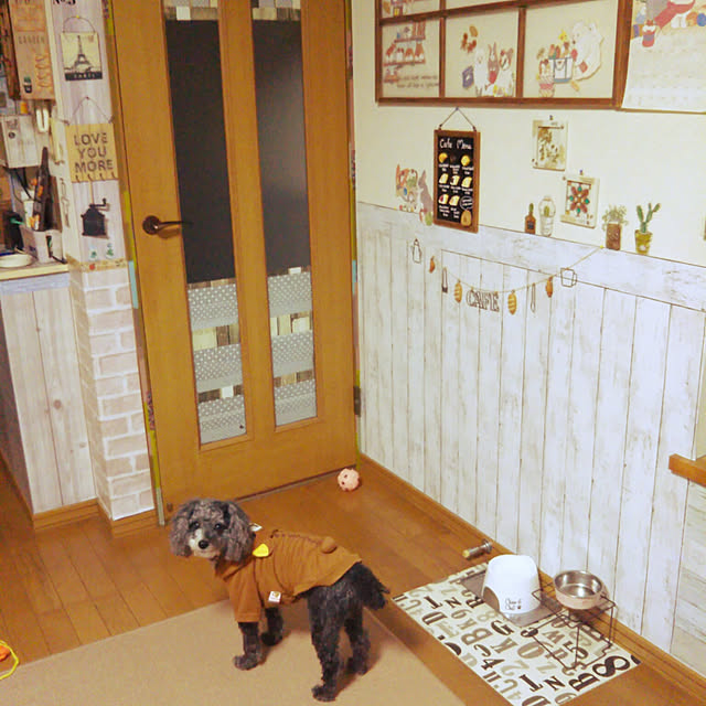 chinon7211さんの実例写真