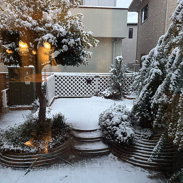 momocchiさんの部屋