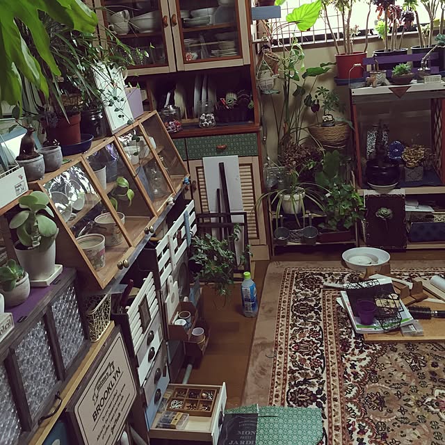 Norikoさんの実例写真