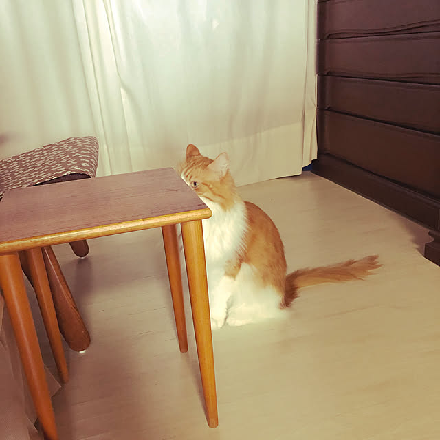uchidaizuさんの実例写真
