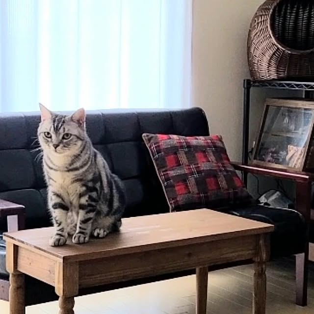 lovepeaceさんの部屋