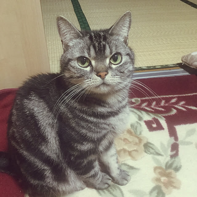 richanさんの実例写真