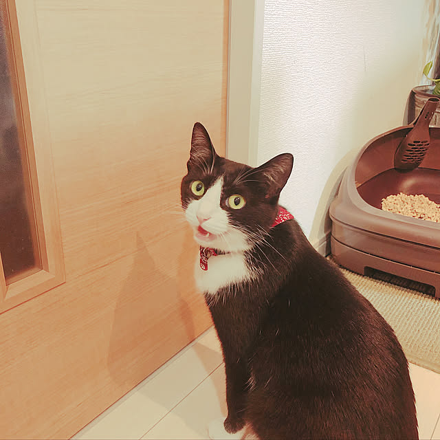 yucoさんの実例写真