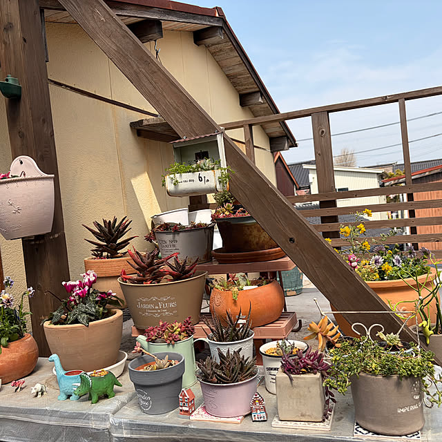 monasanさんの部屋