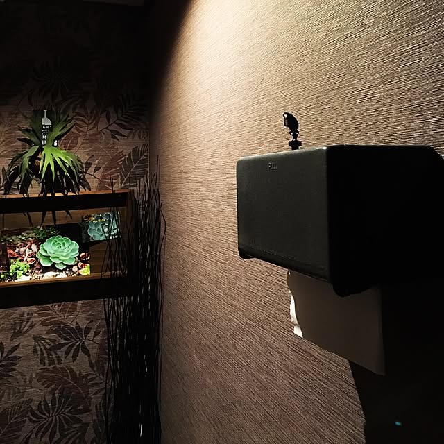 Nikonomaさんの実例写真