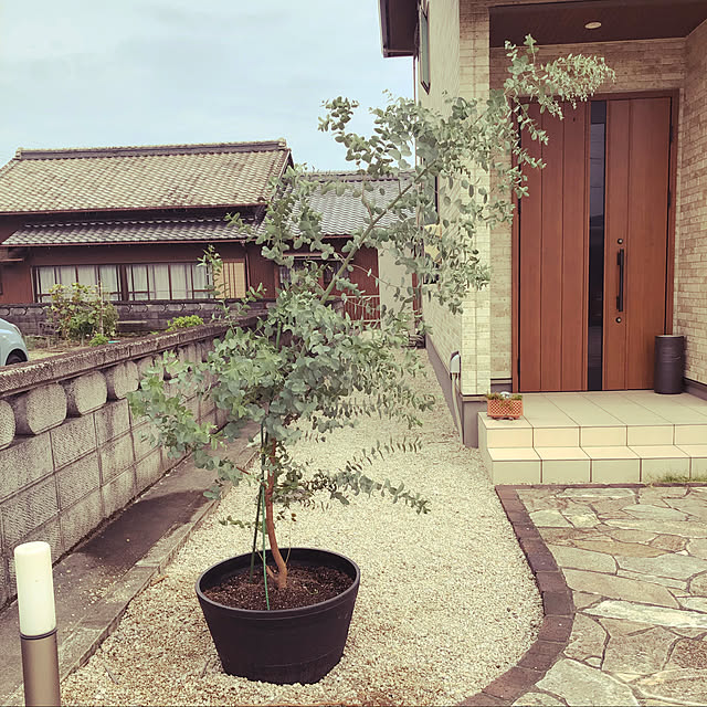 kanataroさんの実例写真