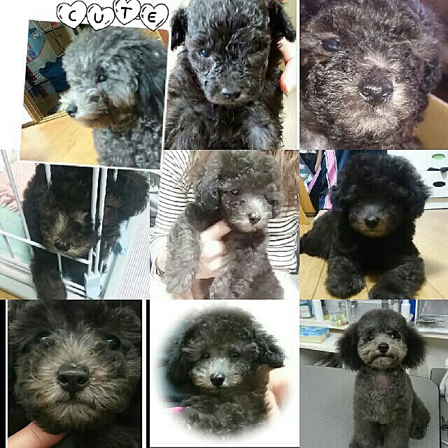 miyaviさんの実例写真