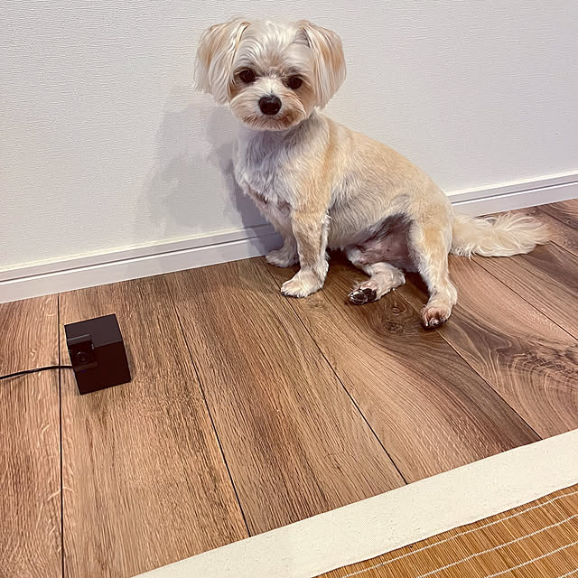 seiさんの実例写真