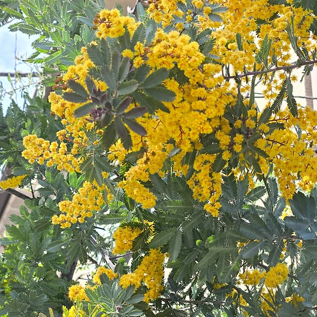 min_nimさんの実例写真