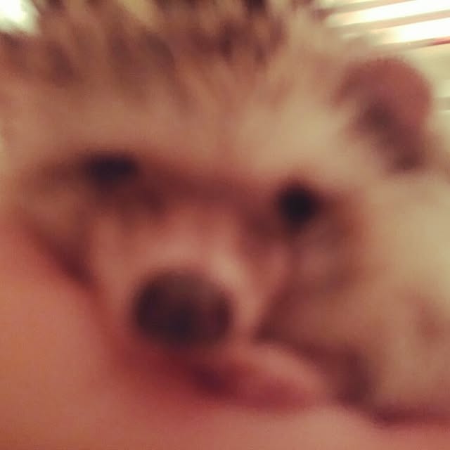 kuruさんの実例写真