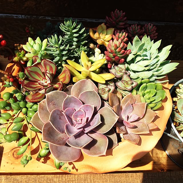 yumi72さんの実例写真