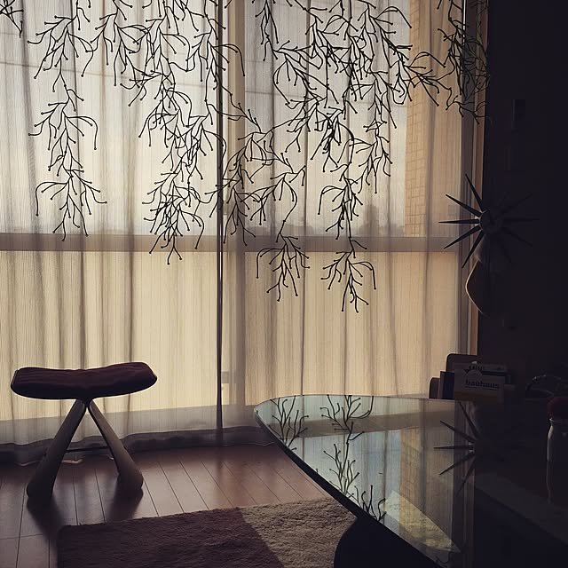 kenpi999さんの実例写真