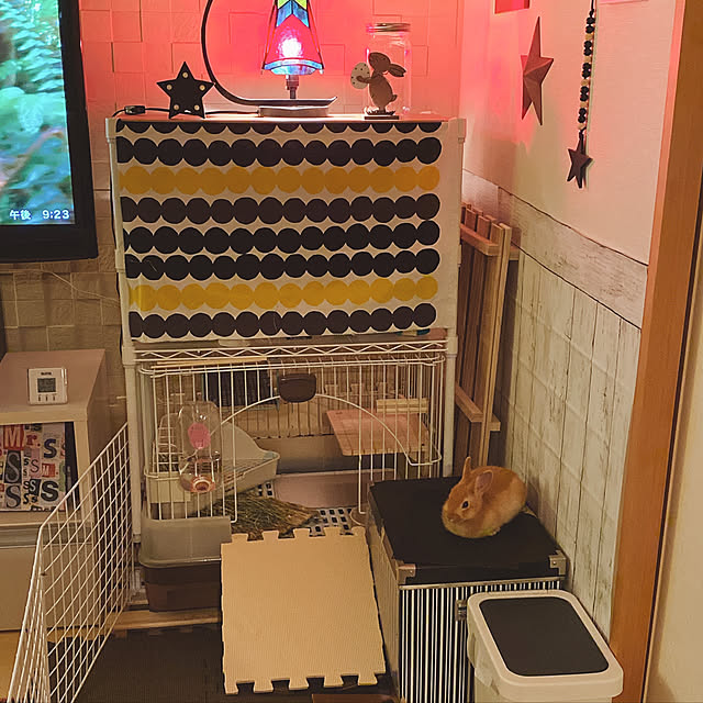 waga818さんの実例写真