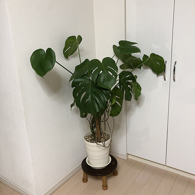 yukirinさんの実例写真