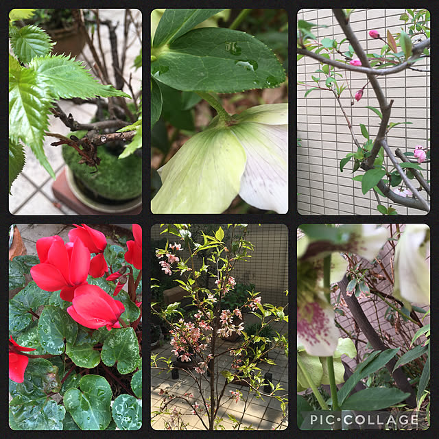 happy-sachiさんの部屋