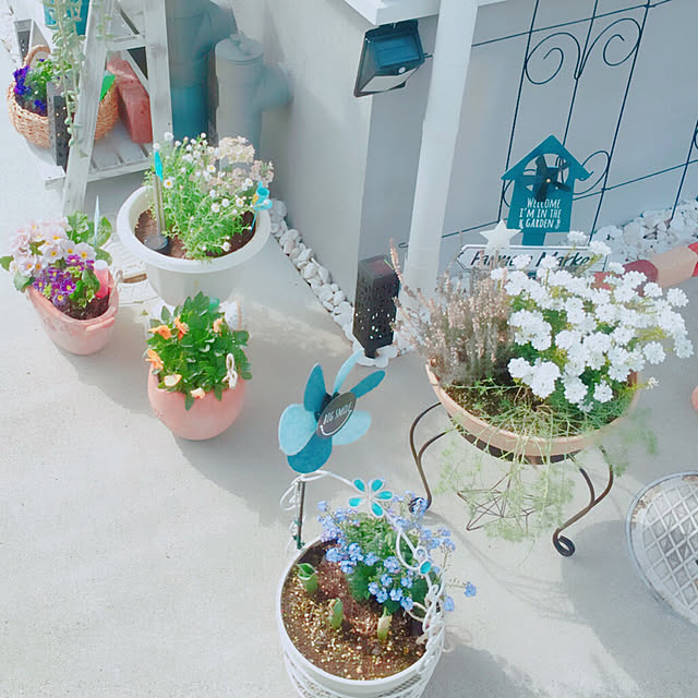 sanaさんの実例写真