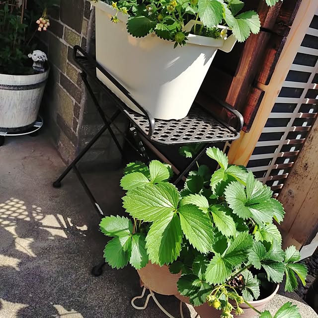 ameamekaasanさんの部屋