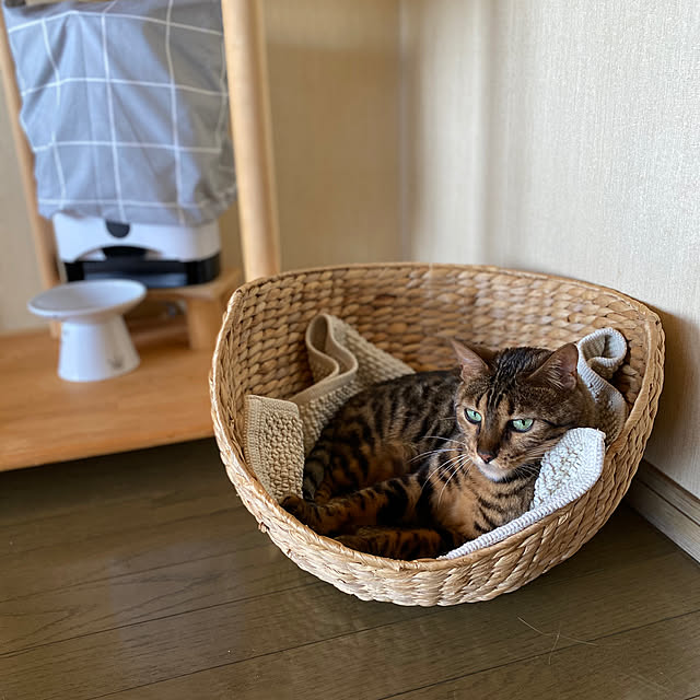 yumuyumuさんの実例写真