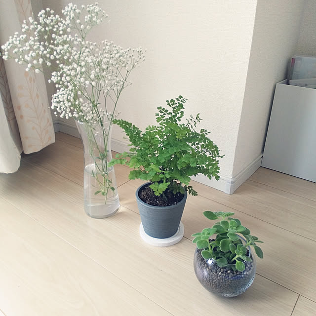 Pi.simple.さんの実例写真